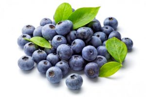 blueberries_viet quat_teekiu